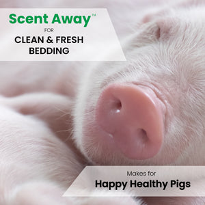 Scent Away Swine Stall Deodorizer